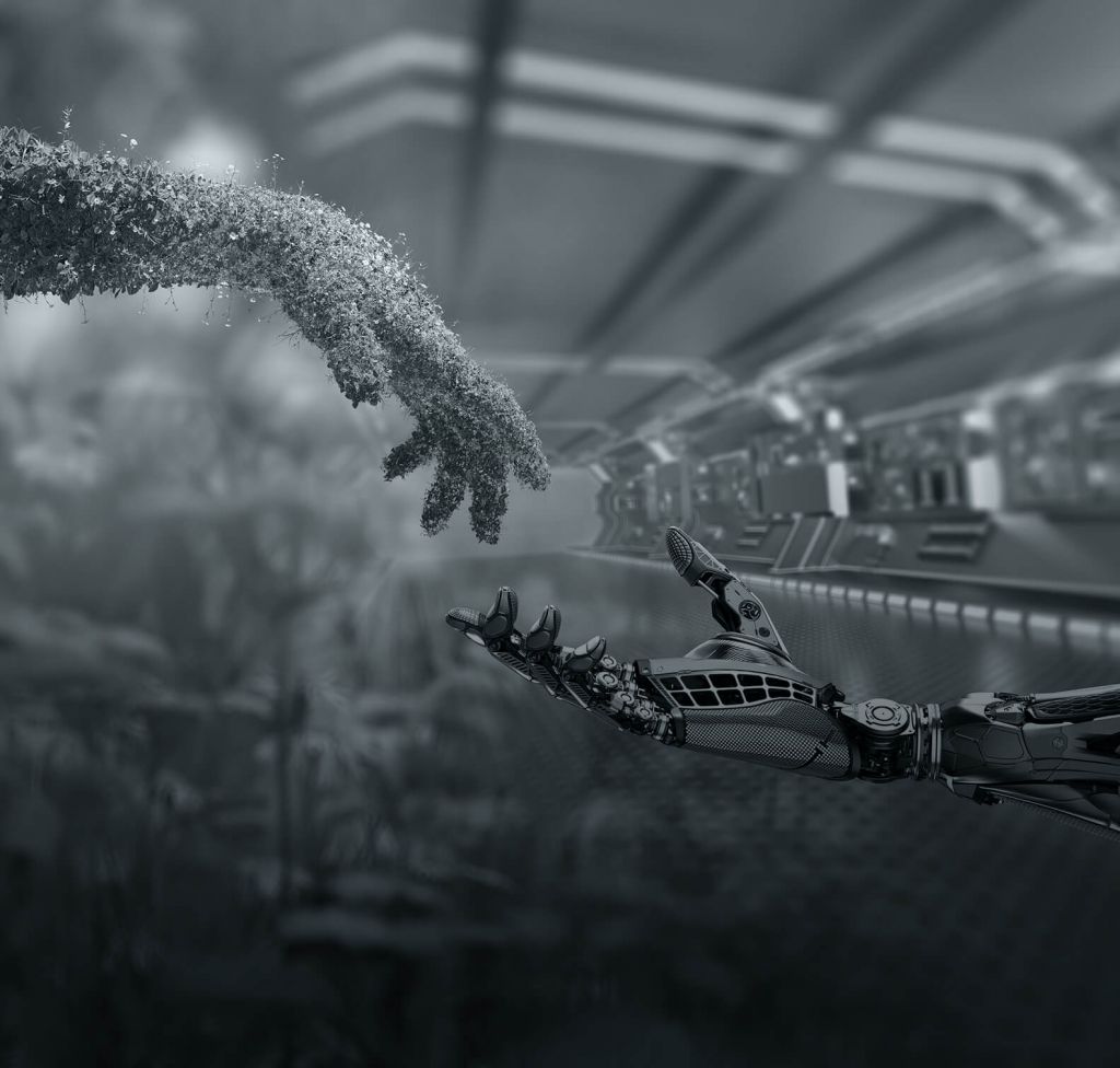 Éco-responsabilité